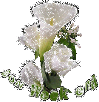 http://johane.j.o.pic.centerblog.net/716wdsz8.gif